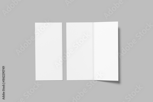 Premium DL Flyer Blank Mockup