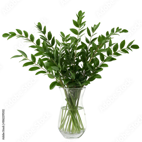 Leaves in a Clear Vase Filled With Water Placed on a Plain Surface in a Well-...