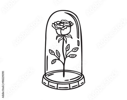 Rose under glass dome, monochrome line art hand drawn style
