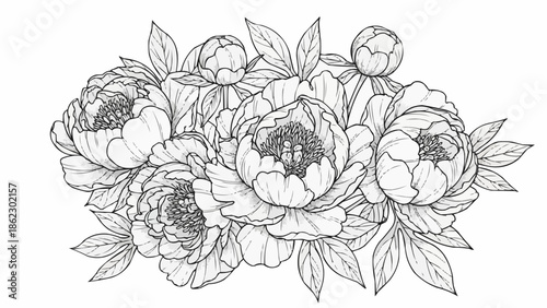 Detailed Line Drawing of a Peony Flower Bouquet.