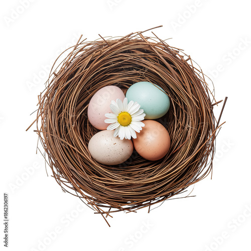 Colorful Eggs and a Flower in a Nest on a Simple Background