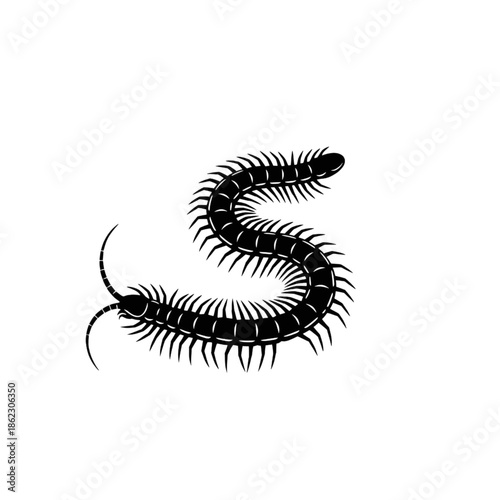 Black Centipede Silhouette Illustration - Realistic Creepy Crawler Insect Icon Vector