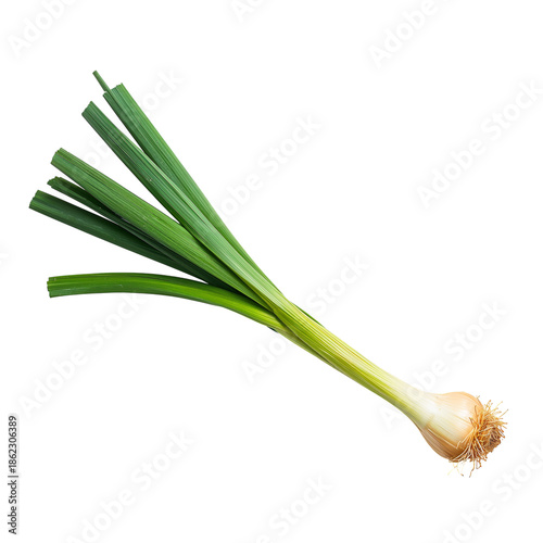 Fresh Green Onion on a White Background Ready for Cooking or Garnishing Dishes
