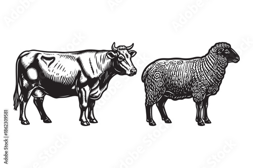 Bull and Sheep Farm Animals Woodcut Style Illustration