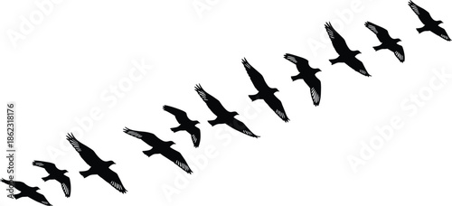 Silhouette of birds flying in formation across white sky, minimalist wildlife concept symbolizing freedom, migration, teamwork, and nature movement