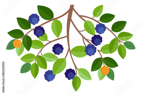 blueberries isolated on white background