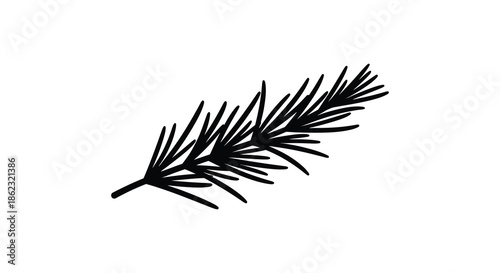 A simple black and white illustration depicting a single coniferous tree branch with needle like leaves