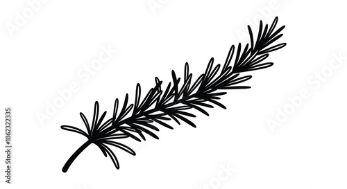 A detailed black and white illustration of a sprig of rosemary with needle like leaves