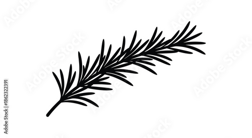 A simple black and white illustration depicting a single sprig of rosemary on a white background