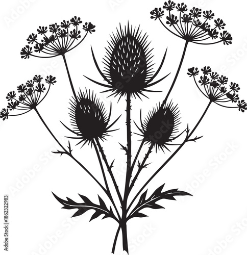 Detailed silhouette of thistle and wildflower bouquet isolated on transparent background