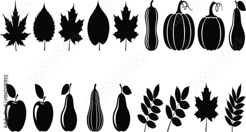 Autumn harvest collection of fruits leaves and pumpkins in black silhouette