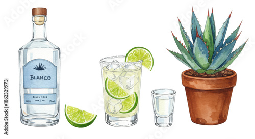 watercolor still life of blanco tequila bottle, highball cocktail, lime, ice, and blue agave plant, isolated on transparent paper texture, graphic design assets concept for high-end bar menu