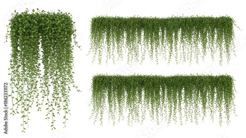 Hanging green plants collection