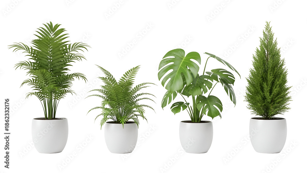 Fototapeta premium Collection of indoor potted plants