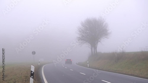 Foggy road with a lone roadside tree and cars driving through dense mist. Moody low visibility travel scene for safety, weather, and autumn driving concepts.