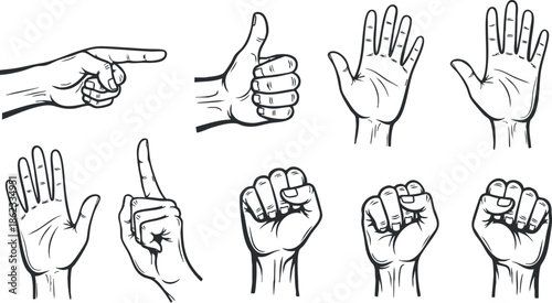 Collection of vector illustrations featuring various hand gestures including thumbs up, pointing, and open hands for creative projects.