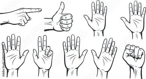 Collection of black and white vector illustrations of various hand gestures including thumbs up, pointing, and open palms for communication and design projects
