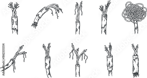 Hand-drawn black and white vector illustration of twisted and knotted bamboo elements for creative design projects