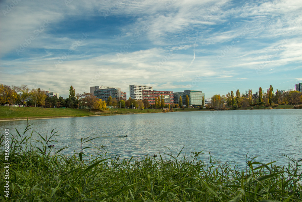 Fototapeta premium Cityscape - Kuchajda lake in Bratislava, nature in the city