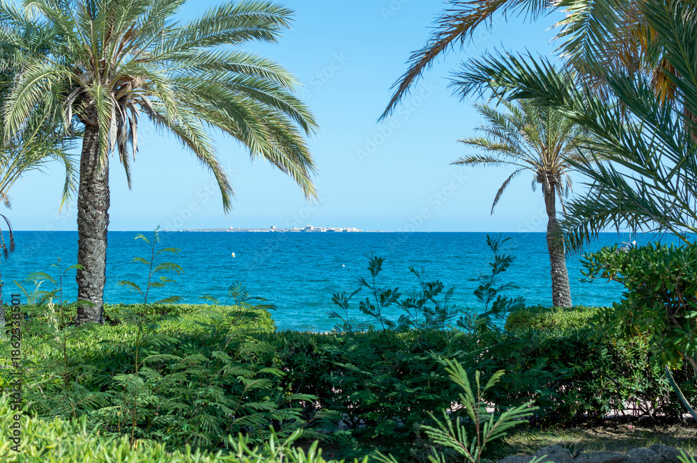 Fototapeta premium View of Tabarca Island on the horizon among palm trees and vegetation, Santa Pola, Alicante, Spain