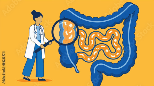 Doctor examining human intestines with magnifying glass for gut microbiome.