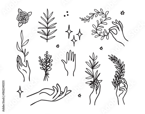 Feminine hands with plants, elegant aesthetic, hands, botanical boho, hand drawn, monochrome line art, outline contour