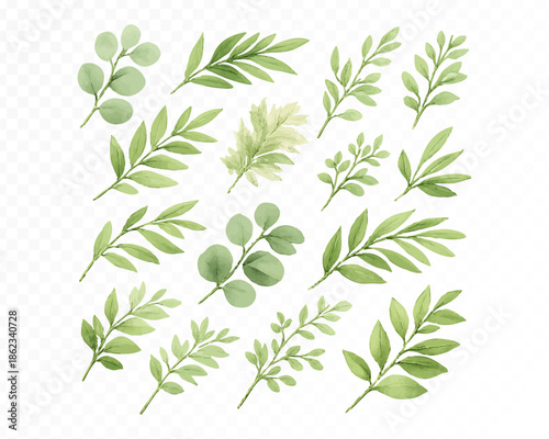 Watercolor Style Greenery Leaves and Branches Vector Set Isolated on Transparent Background