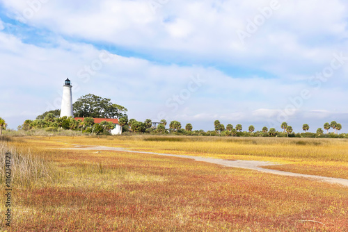 Salt Marsh and Wetlands of Florida Saint Marks Lighthouse