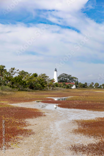 Salt Marsh and Wetlands of Florida Saint Marks Lighthouse