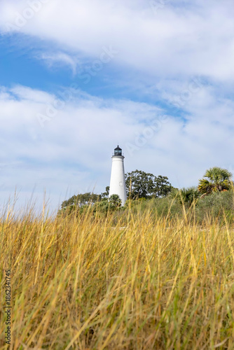 Salt Marsh and Wetlands of St Marks National Wildlife Refuge Saint Mark Lighthouse