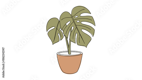 Monstera Deliciosa Plant in Pot Illustration Indoor Plant Art.