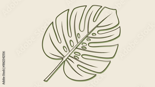 Monstera Leaf Outline A Detailed Botanical Illustration.
