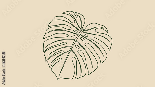 Monstera Leaf Outline A Simple and Elegant Botanical Illustration.