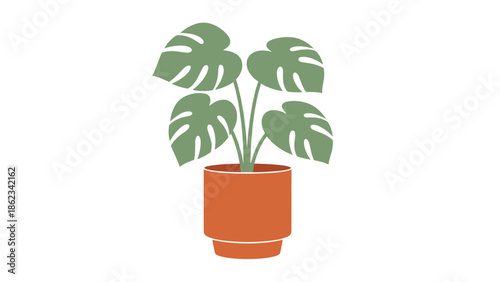 Monstera plant in terracotta pot minimalist botanical illustration.