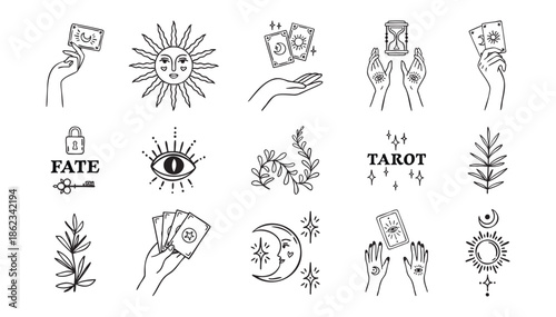 Boho set of tarot and plants, witch hands, fortune teller elements, astrology theme, hand drawn, monochrome line art, outline contour