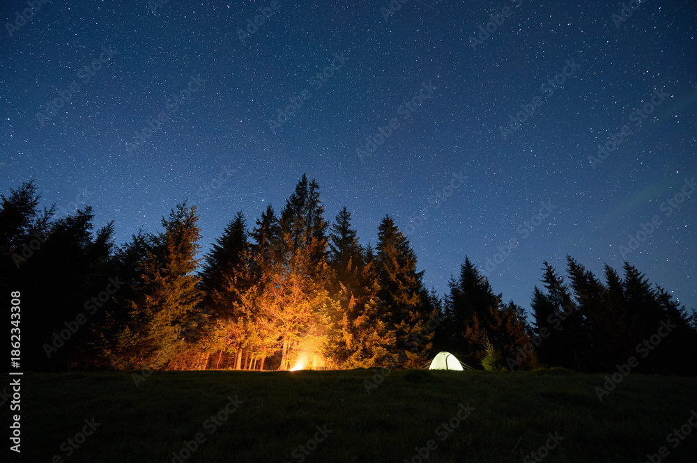 Obraz premium Illuminated tent and glowing campfire create warm ambiance on grassy clearing under clear, starry sky with visible shooting star. Tall pine trees frame scene, enhancing beauty of night in nature.