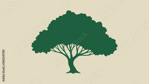 Silhouette of a Lush Green Tree with Spreading Branches and Dense Foliage.