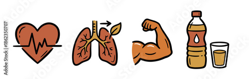 Four hand-drawn health and fitness icons showing a heart with a cardiogram, human lungs, a muscular bicep, and a sports drink, representing a healthy lifestyle and exercise