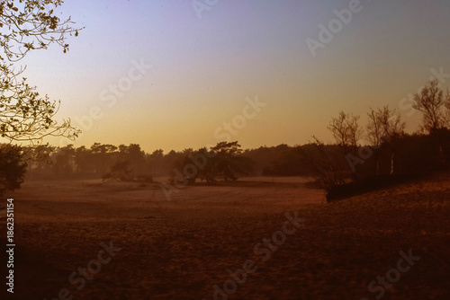 Scanned analog film photograph of sandy heathland at sunset with warm golden light and atmospheric glow showing visible dust particles and vintage tones