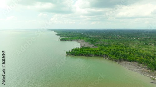 Wide Aerial View of Mangrove Coastline for Climate Resilience Concepts