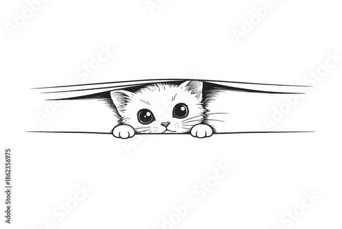 Cute kitten peeking out from under the surface, minimalism, white background. Space for text.