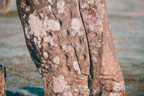 Tableau sur toile Ancient Cup and Ring Marks on Megalithic Stone, Nether Largie, Scotlan