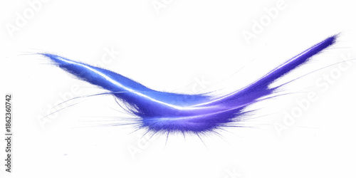 Blue feather floating on soft background