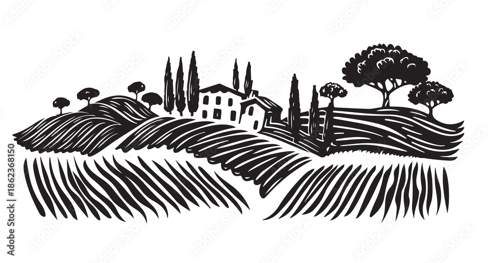 Obraz premium Vineyard landscape, Sketch, hand drawn illustrations. 