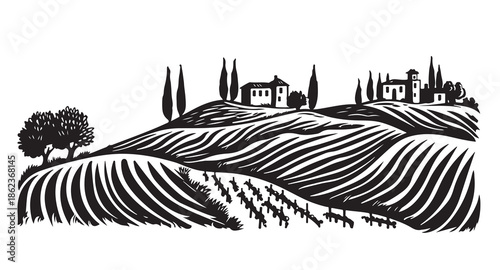 Vineyard landscape, Sketch, hand drawn illustrations.	
