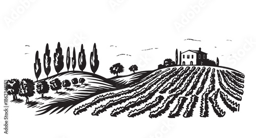 Vineyard Landscape. Vintage wine Label Background. Hand drawn illustration.
