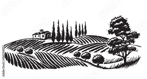 Vineyard Landscape. Vintage wine Label Background. Hand drawn illustration.
