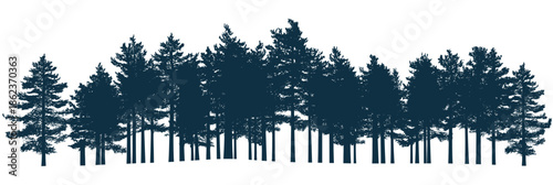 Panoramic silhouette of dense pine forest with tall evergreen trees in navy blue minimalist flat vector style isolated on white background for nature concept design