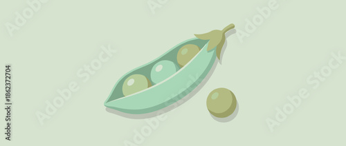 Open green pea pod vector illustration with three peas inside and one outside, depicted in a simple flat minimalist style on a solid pastel green background