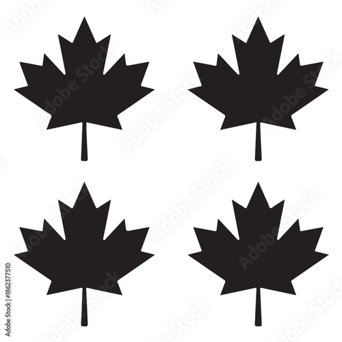Maple Leaf Vector Illustration Isolated on White Background